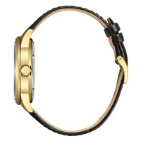 Watch Citizen Man OF Automatico in Steel yellow gold plated NY4059-09A - NY4059-09A